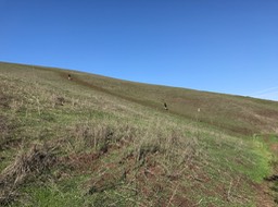 IMG_0751