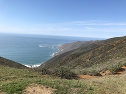 IMG_0771