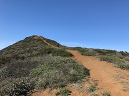 IMG_0778