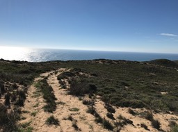 IMG_0839