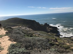 IMG_0841