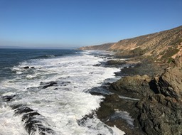IMG_0852