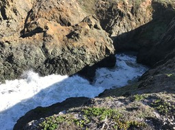 IMG_0853