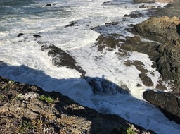 IMG_0857