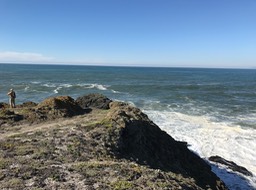 IMG_0860