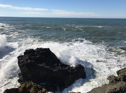 IMG_0862