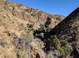 IMG_20171110_093325