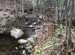 IMG_4338