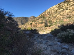 IMG_4361