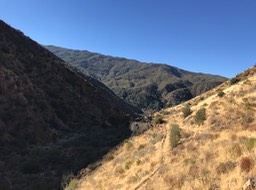 IMG_4369