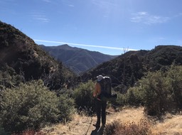 IMG_4387