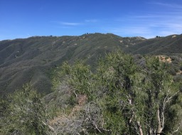 IMG_5234