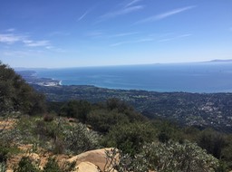 IMG_5249