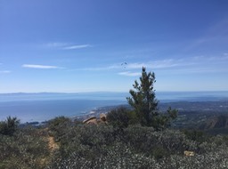 IMG_5262
