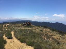 IMG_5991
