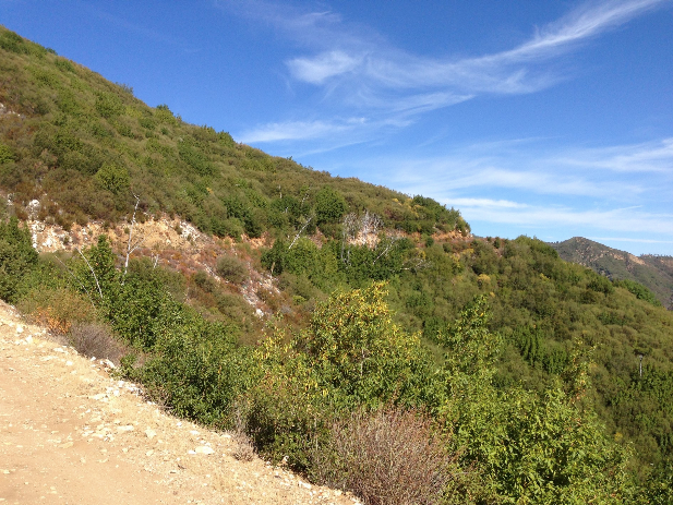 Screen shot 2017-04-04 at 3.17.27 PM