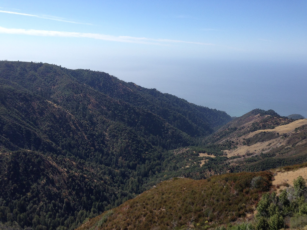 Screen shot 2017-04-04 at 3.21.20 PM