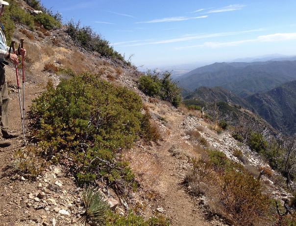 Screen shot 2017-04-04 at 3.22.34 PM