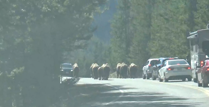 Screen Shot 2017-05-17 at 4.37.58 PM