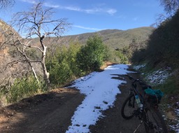 Bates Cyn_11