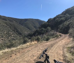 Bates Cyn_12
