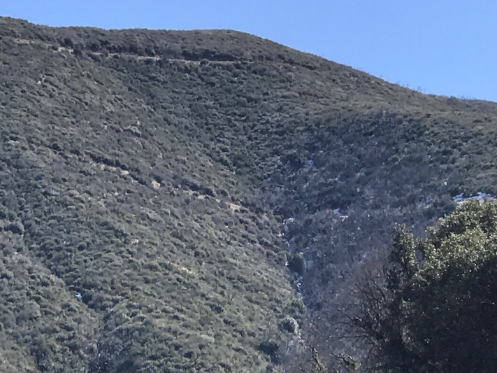 Bates Cyn_13