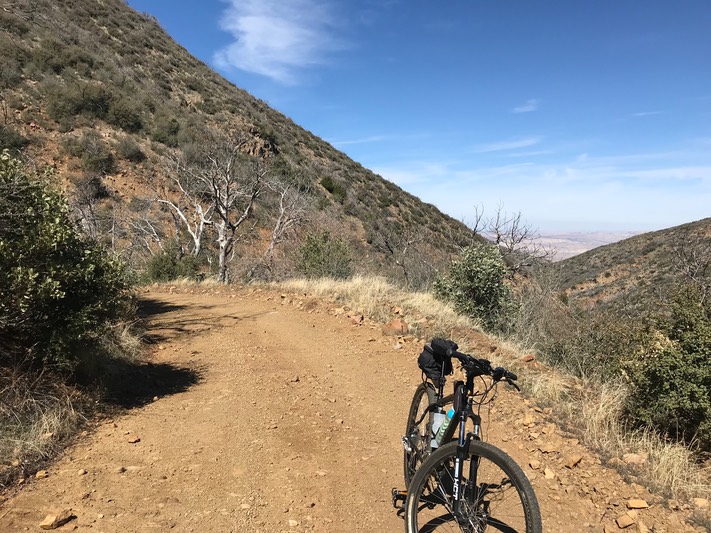 Bates Cyn_14