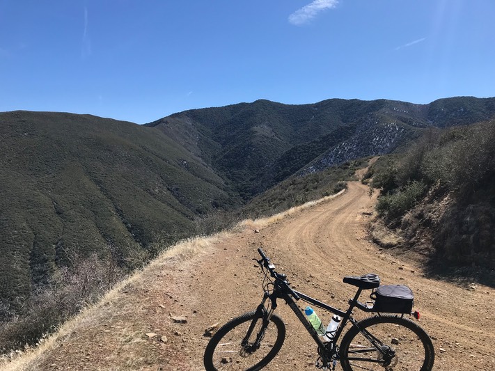 Bates Cyn_18