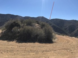 Bates Cyn_25