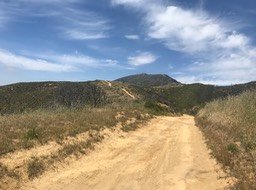 IMG_8906